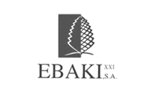 Ebaki